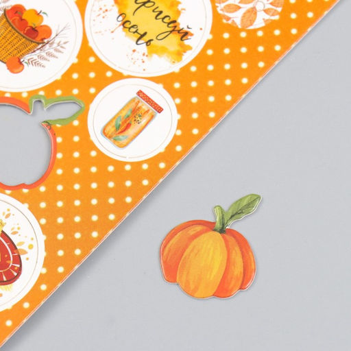 Цена за 5 шт. Декор для творчества картон "Фишки и пуговки. Оранжевый" 24 шт 13х16,5см