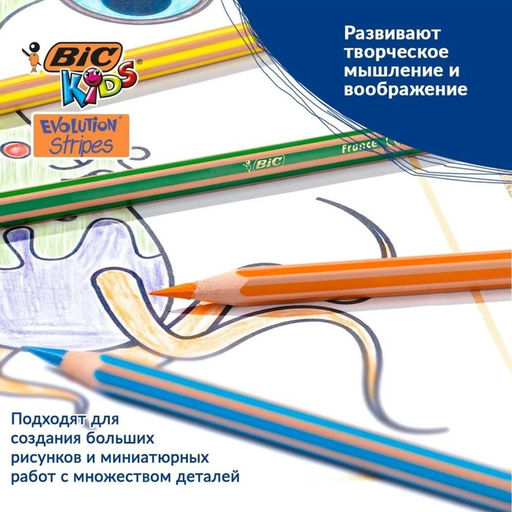 Карандаши цветные 12 цветов, BIC «Kids Evolution Stripes», пластиковые, детские