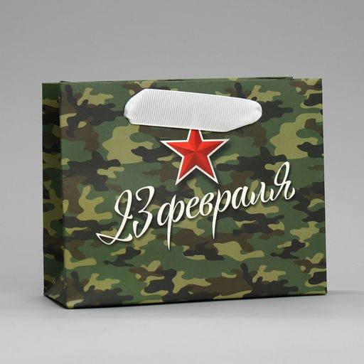 Цена за 3 шт. Пакет подарочный ламинированный, упаковка, С 23 февраля, S 15?12?5.5 см