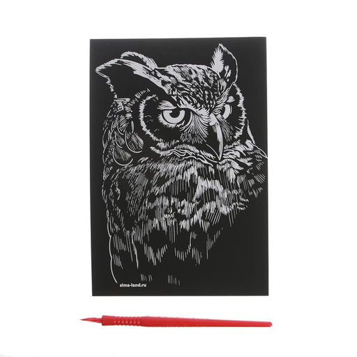 Гравюра «Сова» с металлическим эффектом «золото», 13х19 см