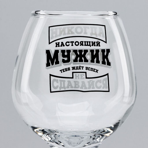 Бокалы для коньяка «Никогда не сдавайся», 265 мл, 2 шт.