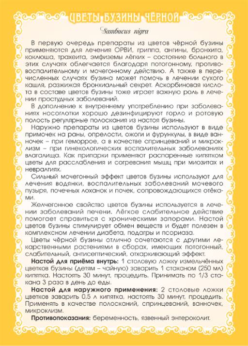 Бузина чёрная (цветы) - Мариславна фото 2