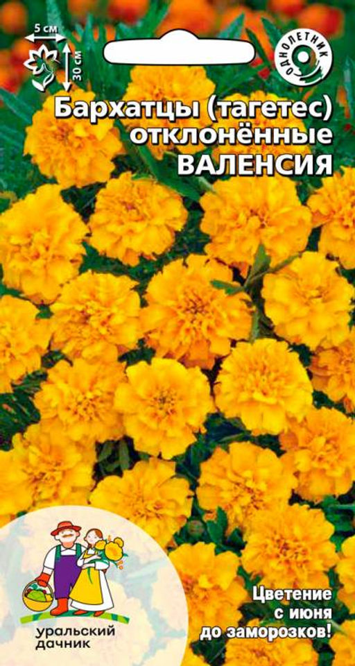 Бархатцы ВАЛЕНСИЯ
