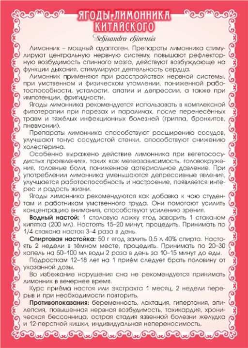 Лимонник китайский (ягоды) - Мариславна фото 3