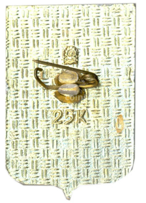 Значок Сочи