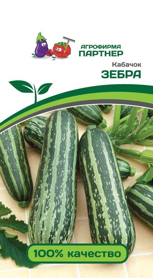 Кабачок Зебра