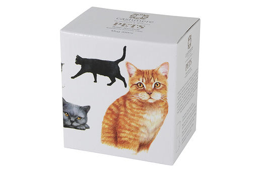 Кружка Британская короткошёрстная, 0,3 л - Maxwell & Williams фото 3