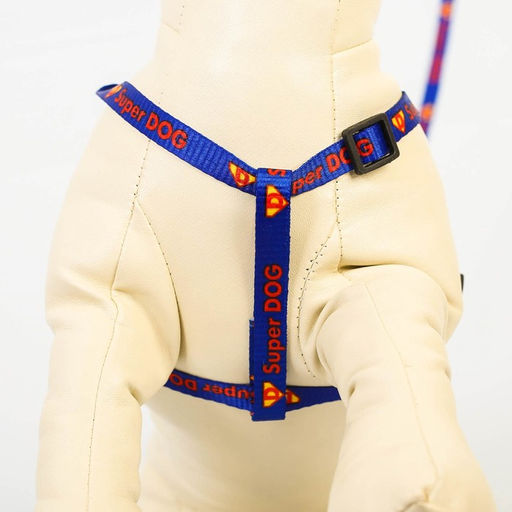 Комплект Super DOG, шлейка 26-39 см, поводок 120х1 см, медальон - Пушистое счастье фото 2