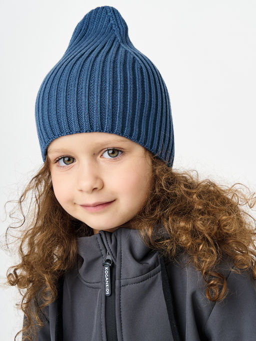 Синяя шапка