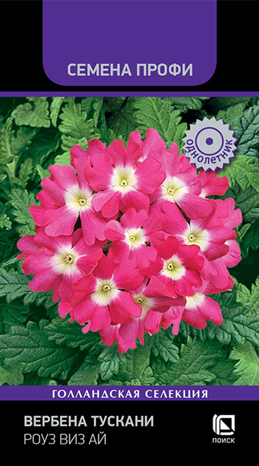Вербена Тускани Роуз виз Ай (Семена Профи) (ЦВ) ("1) 10 шт