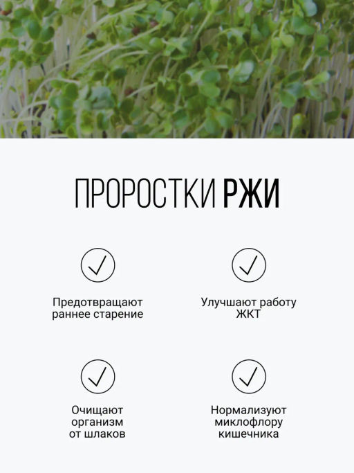 Смесь из семи видов проростков 200г (пшеница, полба, спельта, рожь, овес, чечевица, зеленая гречка)