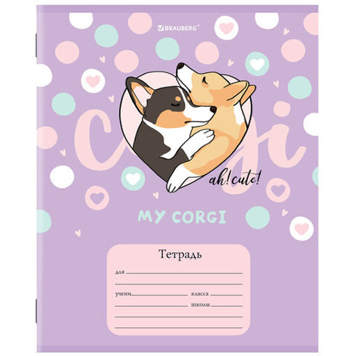 Цена за 6шт. Тетрадь 12 л. BRAUBERG, клетка, обложка картон, "КОРГИ"