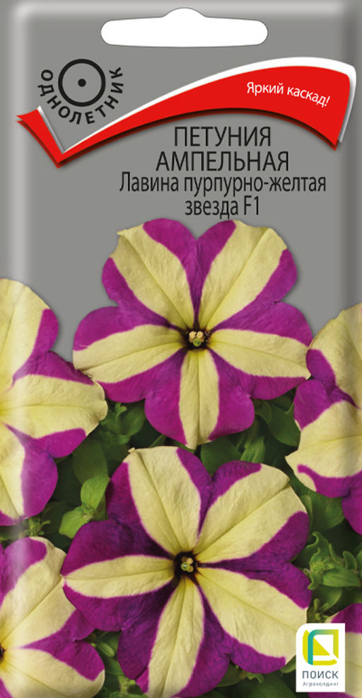 Петуния ампельная Лавина Пурпурно-желтая Звезда F1 (ЦВ) (1) 10шт. - Поиск фото 2