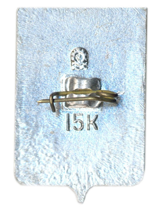 Значок Ростов на Дону