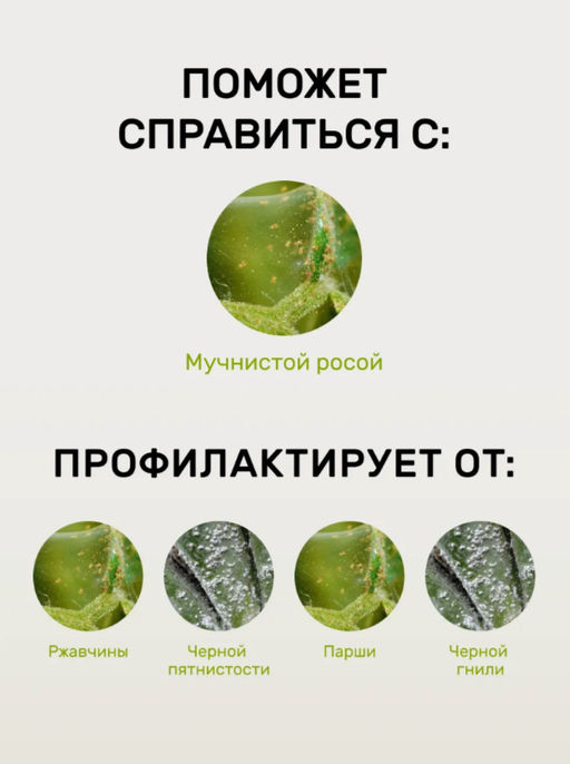 Спрей от мучнистой росы 450 мл