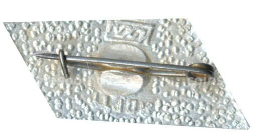 Значок Горький