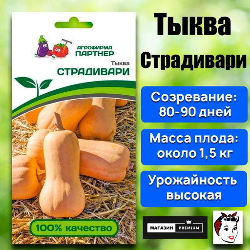 Тыква Страдивари - Партнер фото 6