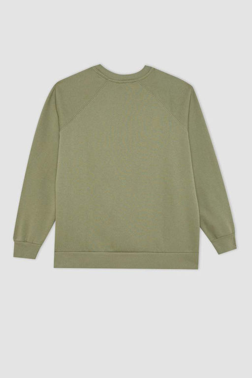 Толстый свитшот оверсайз с круглым вырезом - Defacto фото 3