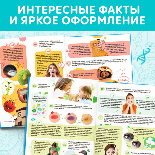 Энциклопедия в твёрдом переплёте «200 фактов о теле человека», 48 стр.