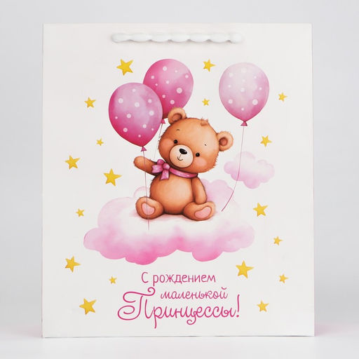 Цена за 2 шт. Пакет ламинированный «Принцессе», M 25.5 х 30 х 9 см