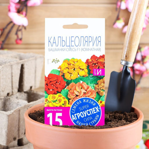 Семена комнатных цветов Кальцеолярия «Башмачки», F1, 5 шт.
