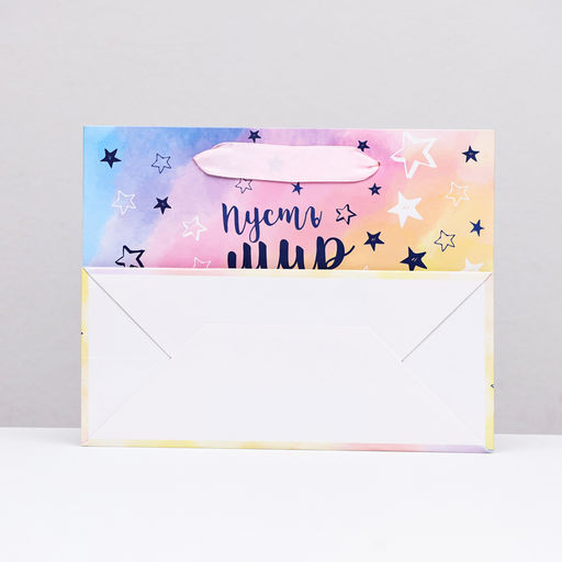 Цена за 2 шт. Пакет подарочный ламинированный горизонтальный «Пусть мир будет ярче», 23×18×10 см