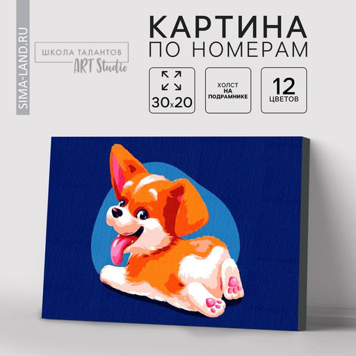 Картина по номерам на холсте с подрамником «Малыш Корги» 20×30 см