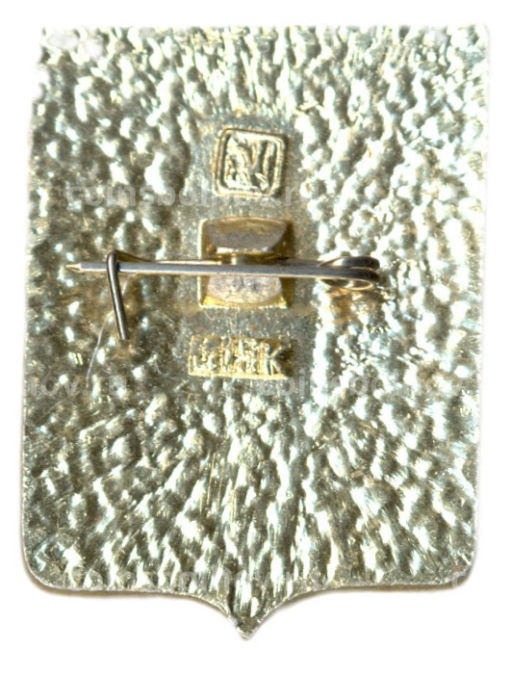 Значок Тамбов