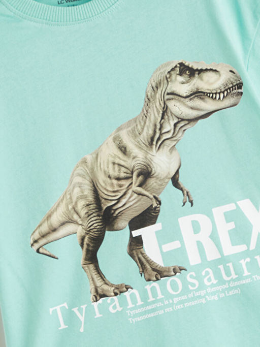 Dinozor Bask?l? Erkek ?ocuk Ti??rt ve ?ort 2li