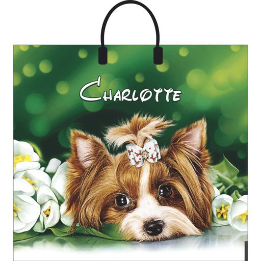 Цена за 10 шт. Пакет «Шарлотта», полиэтиленовый с пластиковой ручкой, 38×35 см, 90 мкм