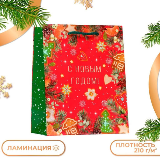 Цена за 2 шт. Пакет подарочный новогодний ламинированный С новым годом!, 18?22.3?10 см