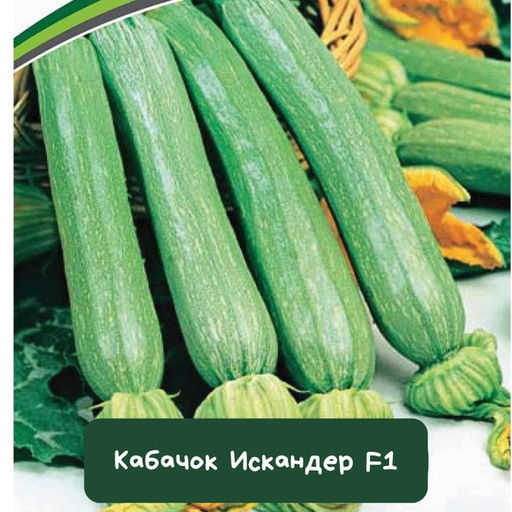 Кабачок Искандер F1
