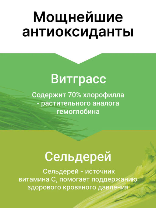Витграсс + Сельдерей 100г (Состав: порошок из молодых зеленых ростков пшеницы, порошок сельдерея)