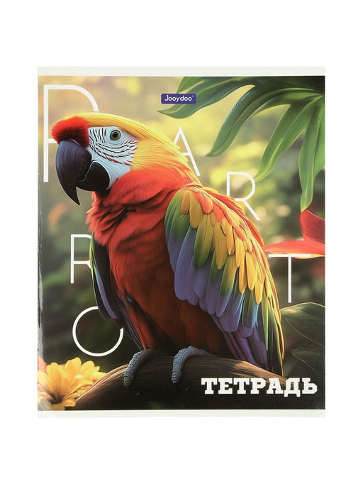 Комплект 12 тетрадей, 48 листов, клетка, 60гр, 4 вида, Животные