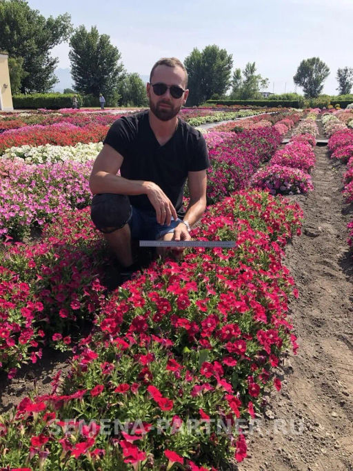 Петуния МиМи Паола каскадная тёмно-розовая - Партнер фото 5