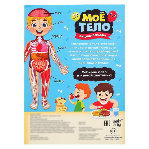 Набор Моё тело: мегапазл с обучающей книгой - Буква-ленд фото 6
