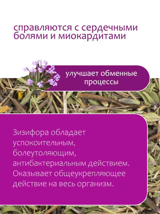 Зизифора пахучковидная - Травы горного крыма фото 3
