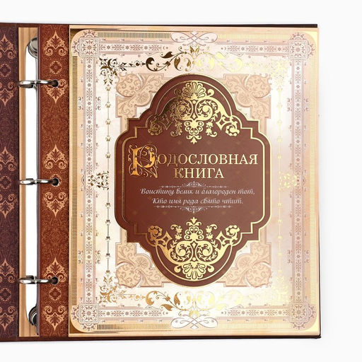 Родословная книга с рамкой под фото «Семейная летопись», 50 листов, 21.5×23.7 см