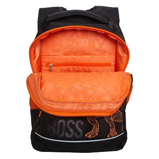 RB-450-3 Рюкзак школьный - Grizzly фото 5