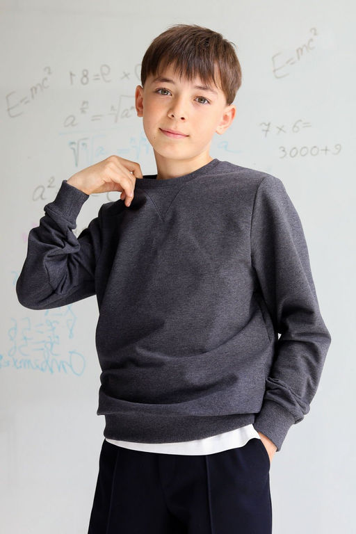 Свитшот Энди MINIDINO