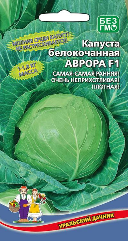 Капуста АВРОРА F1 Одна из самых ранних! Не растрескивается! Очень плотная и неприхотлива!