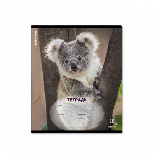 Цена за 10 шт. Тетрадь школьная ученическая ErichKrause Пушистики, 18 листов, линейка (в плёнке по 10 шт.)_MIX-PACK  фото 6