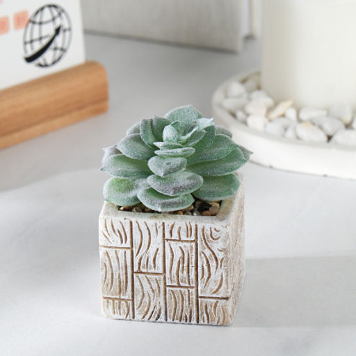 Цветочная композиция Кактус / WER-15 /уп 12/288/ микс - Галеонтрейд фото 7