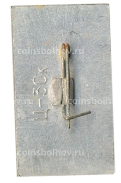 Значок А.С.Пушкин  могила в Святогорском монастыре