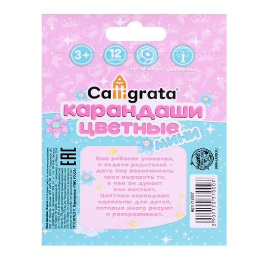 Карандаши Calligrata «Принцесса», цветные, 12 цветов, деревянные, шестигранные, мини