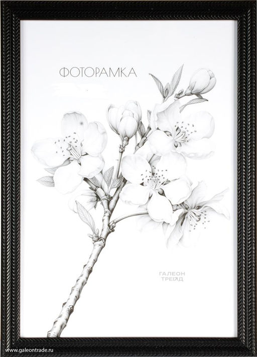 Фоторамка 15х21 / KSF1811-1 /уп10 - ГалеонТрейд фото 2