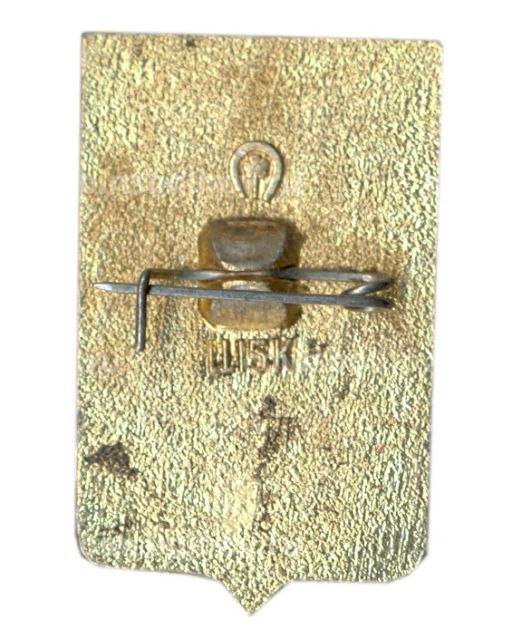 Значок Ростов на Дону