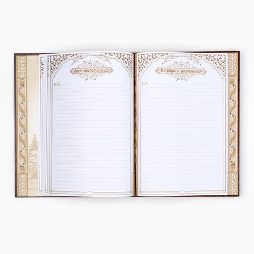 Родословная книга «Дерево», 50 листов, 22×31 см