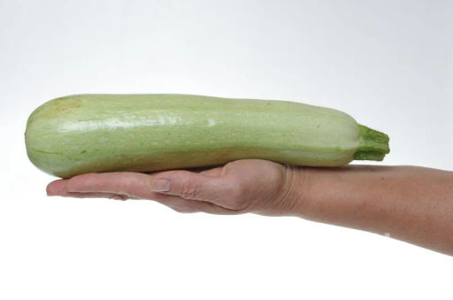 Кабачок Кавили - Партнер фото 2