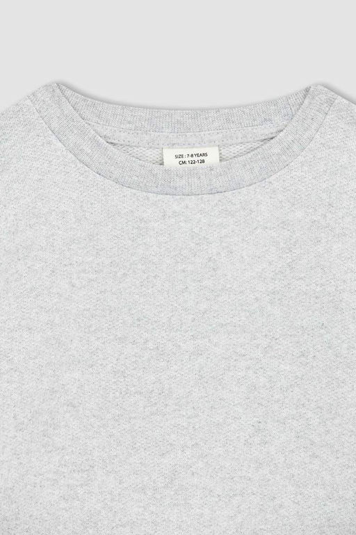 Толстый базовый свитшот для мальчиков с круглым вырезом - Defacto фото 7